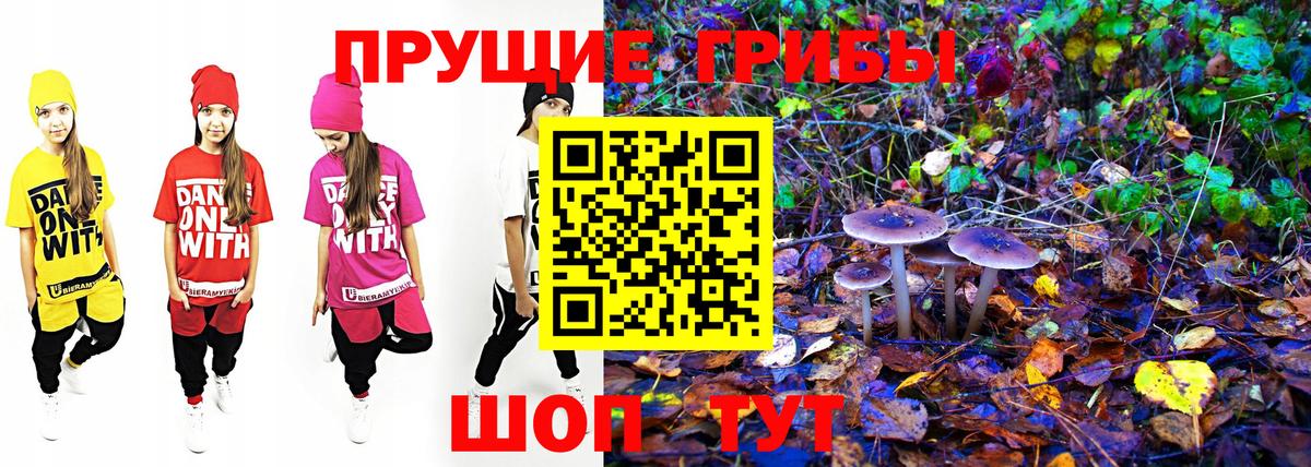 Галлюциногенные грибы Magic Shrooms  Вход с VPN  Галлюциногенные грибы прущие грибы  Краснотурьинск 